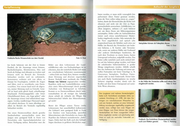 Griechische Landschildkröten - Pflege und Vermehrung