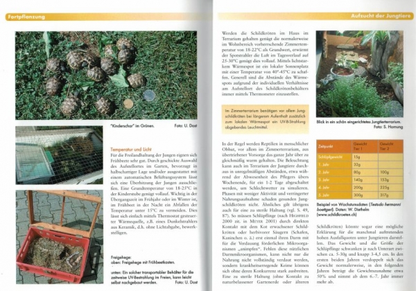 Griechische Landschildkröten - Pflege und Vermehrung