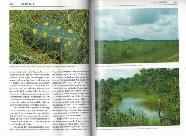Schildkrötenbibliothek 3 - Südamerikanische Landschildkröten