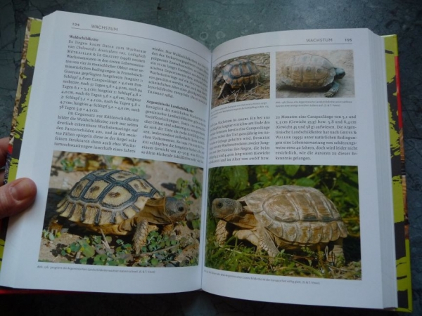 Schildkrötenbibliothek 3 - Südamerikanische Landschildkröten
