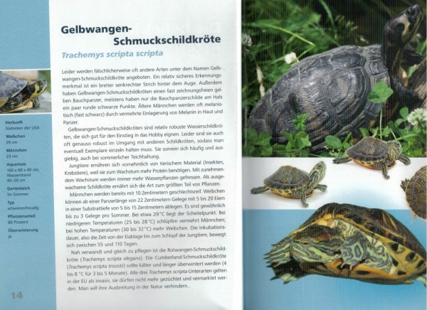 Wasserschildkröten-Fibel - Xaver Wapelhorst