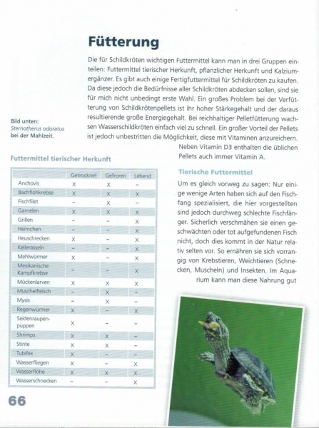 Wasserschildkröten-Fibel - Xaver Wapelhorst