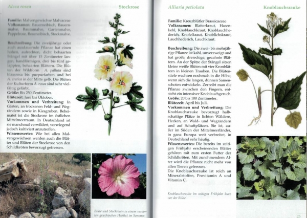 Futterpflanzen für Landschildkröten und andere Reptilien, Wolfgang Wegehaupt