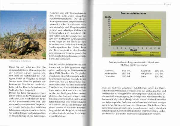 Vorbild Natur, Natürliche Haltung und Zucht der Griechischen Landschildkröte, Wolfgang Wegehaupt