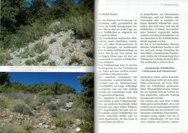 Vorbild Natur, Natürliche Haltung und Zucht der Griechischen Landschildkröte, Wolfgang Wegehaupt