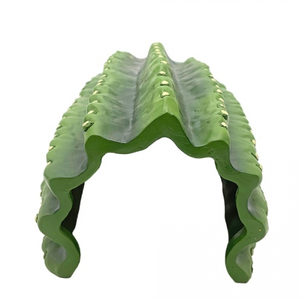 Cactus Tube 3 (24,5 × 16 × 12 cm)