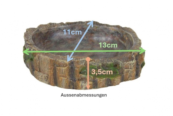 Regendwalddesign Wasser & Futterschale mittel