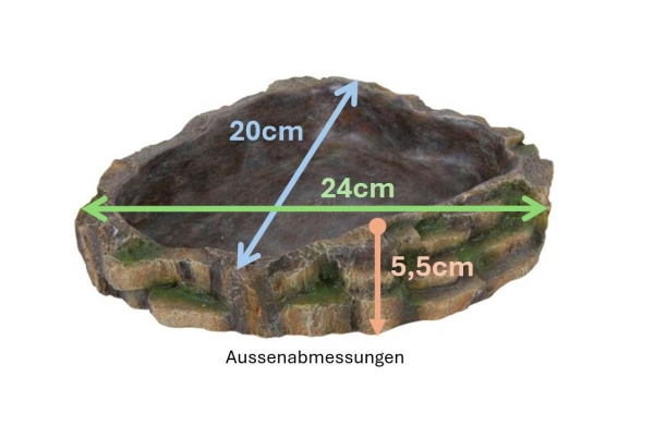 Regenwalddesign Wasser & Futterschale sehr groß