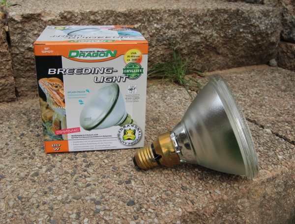Dragon Wärmestrahler PAR38 "Breeding Light" 80 Watt