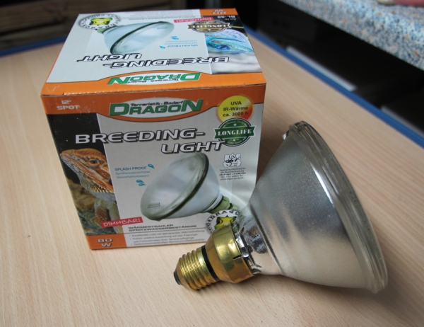 Dragon Wärmestrahler PAR38 "Breeding Light" 80 Watt