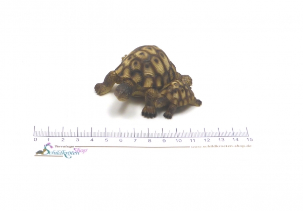 Schildkrötenfigur "Mona und Tina" zwei Schildkröten nebeneinander