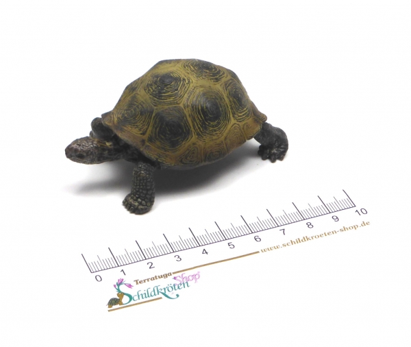 Riesenschildkröte (Schleich)