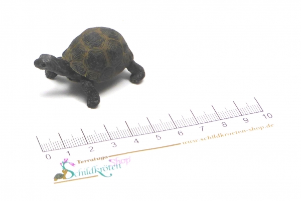 Riesenschildkrötenjungtier (Schleich)
