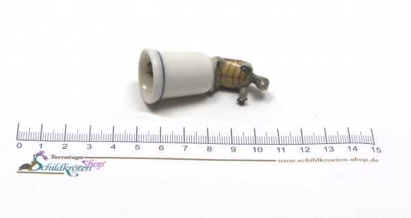 Porzellan Fingerhut einer aufrecht stehenden Sumpfschildkröte