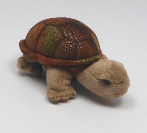 Stofftier Riesenlandschildkröte "Rapidy" klein