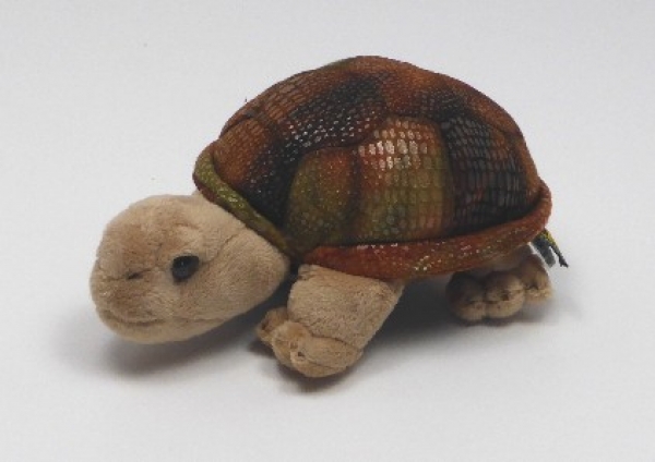 Stofftier Riesenlandschildkröte "Rapidy" klein