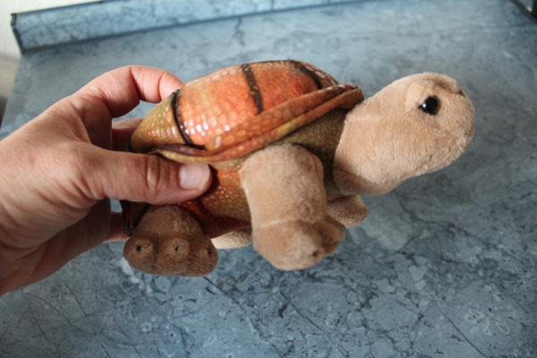 GIANT TORTOISE 20cm Stofftier Riesenschildkröten Jungtier