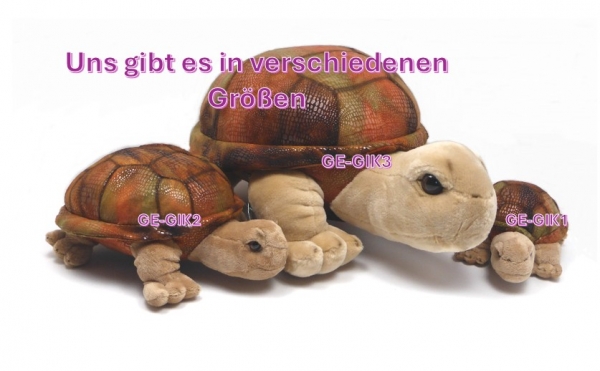 Stofftier Riesenlandschildkröte "Rapidy" mittel