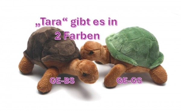 Stofftier Galapagos-Schildkröten Baby "Tara" grün