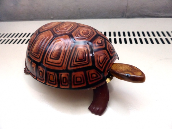 Zufällig Schildkröte Spielzeug Schildplatt Pädagogische Kriechen Wasser 