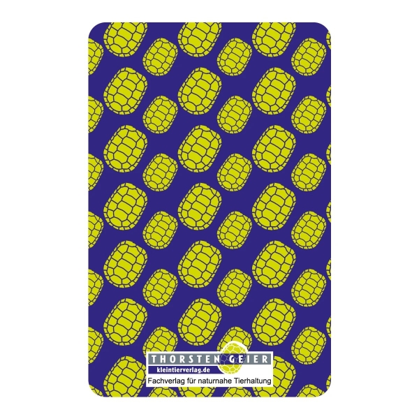 Schildkröten Quartett 32 Karten