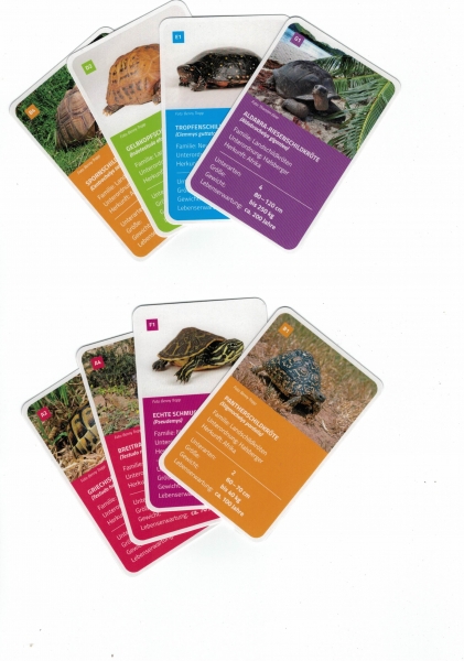 Schildkröten Quartett 32 Karten