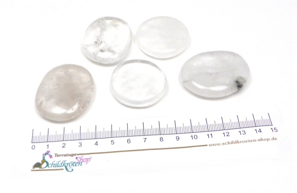 Scheibenstein Bergkristall 3-5 x 5 cm groß (klar)