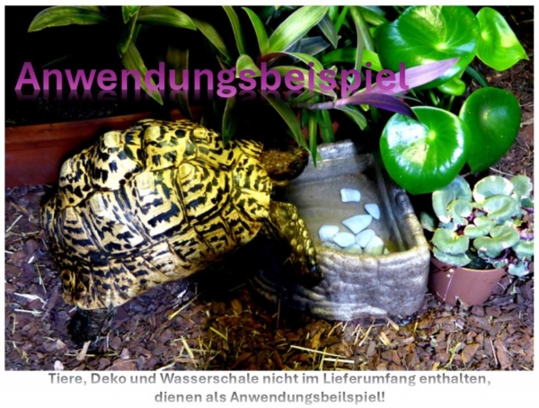 Trommelstein Chalcedon ca. 2 - 6 cm (hellblau)