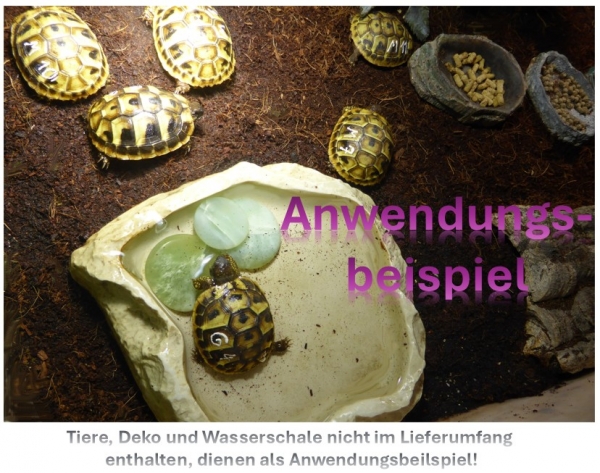 Scheibenstein Jade Größe ca. 3-5 x 5 cm groß (grün)