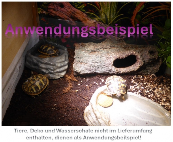 Scheibenstein Landschaftsjaspis ca. 3-5 x 5 cm groß (hellbraun-gesprenkelt)