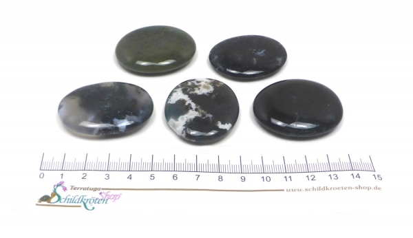 Scheibenstein Moosachat ca. 3-5 x 5 cm groß (dunkelgrün)