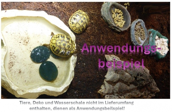 Scheibenstein Moosachat ca. 3-5 x 5 cm groß (dunkelgrün)