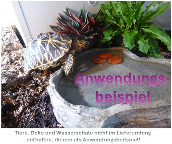 Scheibenstein Jaspis ca. 3-5 x 5 cm groß (rotbraun)