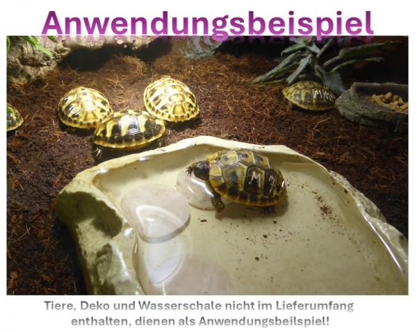 Scheibenstein Rosenquarz ca.3-5 x 5 cm groß (rosa, teildurchscheinend)