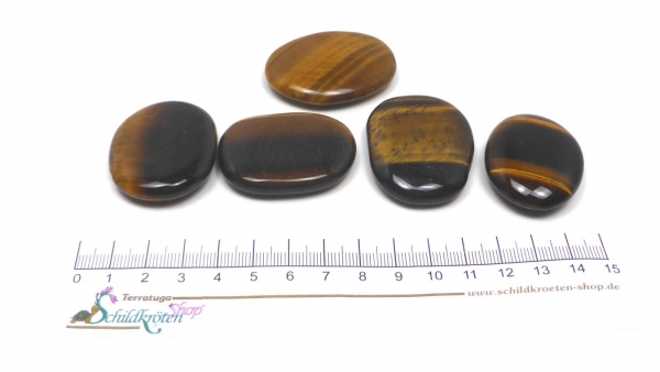 Scheibenstein Tigerauge ca.3-5 x 6 cm groß (braun-schimmernd-gestreift)