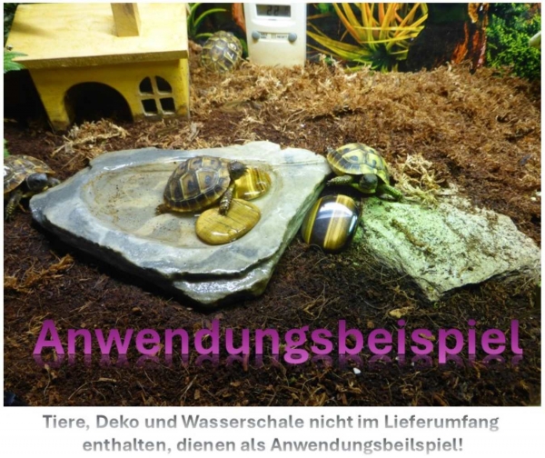 Scheibenstein Tigerauge ca.3-5 x 6 cm groß (braun-schimmernd-gestreift)