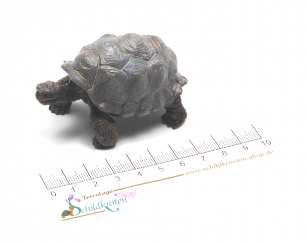 Wild Life Riesenschildkröte (Schleich)