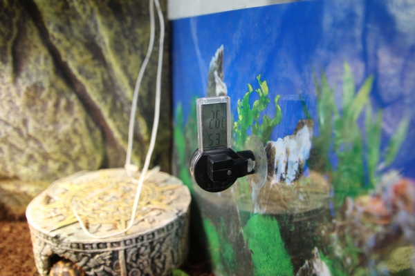 Trixie Saugnapf Digital-Thermo-/Hygrometer für Terrarien