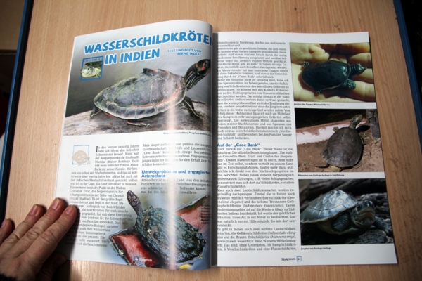 Marginata 45 - Die Schildkröten des Indischen Subkontinents