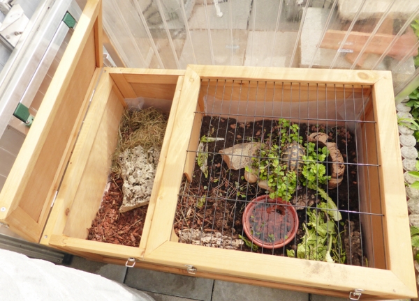 Tortoise House - Schildkrötengehege für Innen und Außen