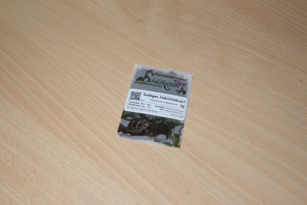 Doldiges Habichtskraut 2g  (Hieracium umbellatum)