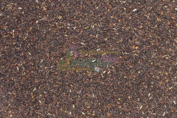 Echtes Johanniskraut 2g  (Hypericum perforatum)