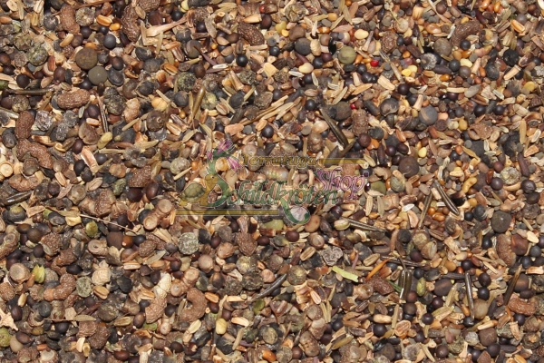 Futterwiese XL für Landschildkröten 65g - Saatgutmischung