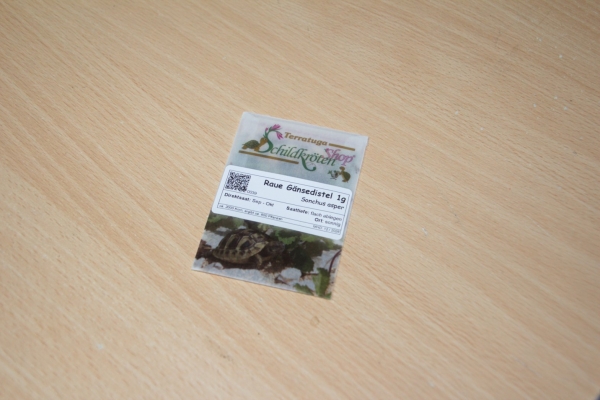 Raue Gänsedistel 1g  (Sonchus asper)