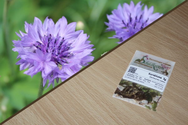 Kornblume 3g  (Centaurea cyanus)