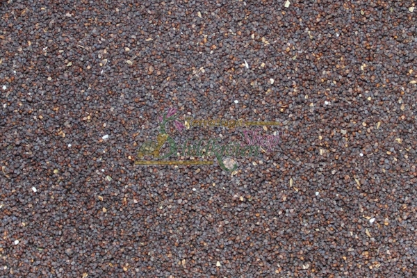 Klatschmohn 2g  (Papaver rhoeas)