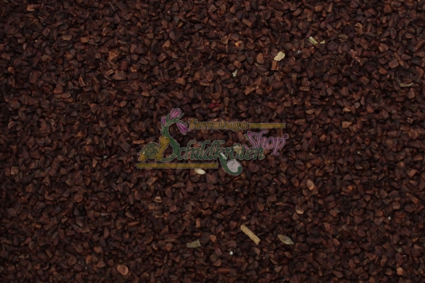 Gemeine Nachtkerze 2g  (Oenothera biennis)