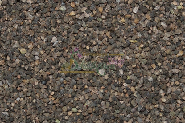 Blauer Natternkopf 5g  (Echium vulgare)