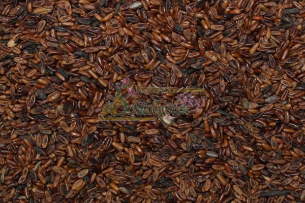 Spitzwegerich 2g  (Plantago lanceolata)