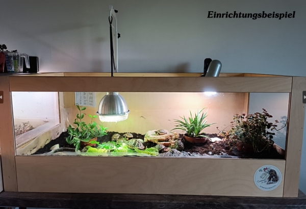 Terratuga Aufzucht Landschildkröten Terrarium Größe ca.100x50x40 cm